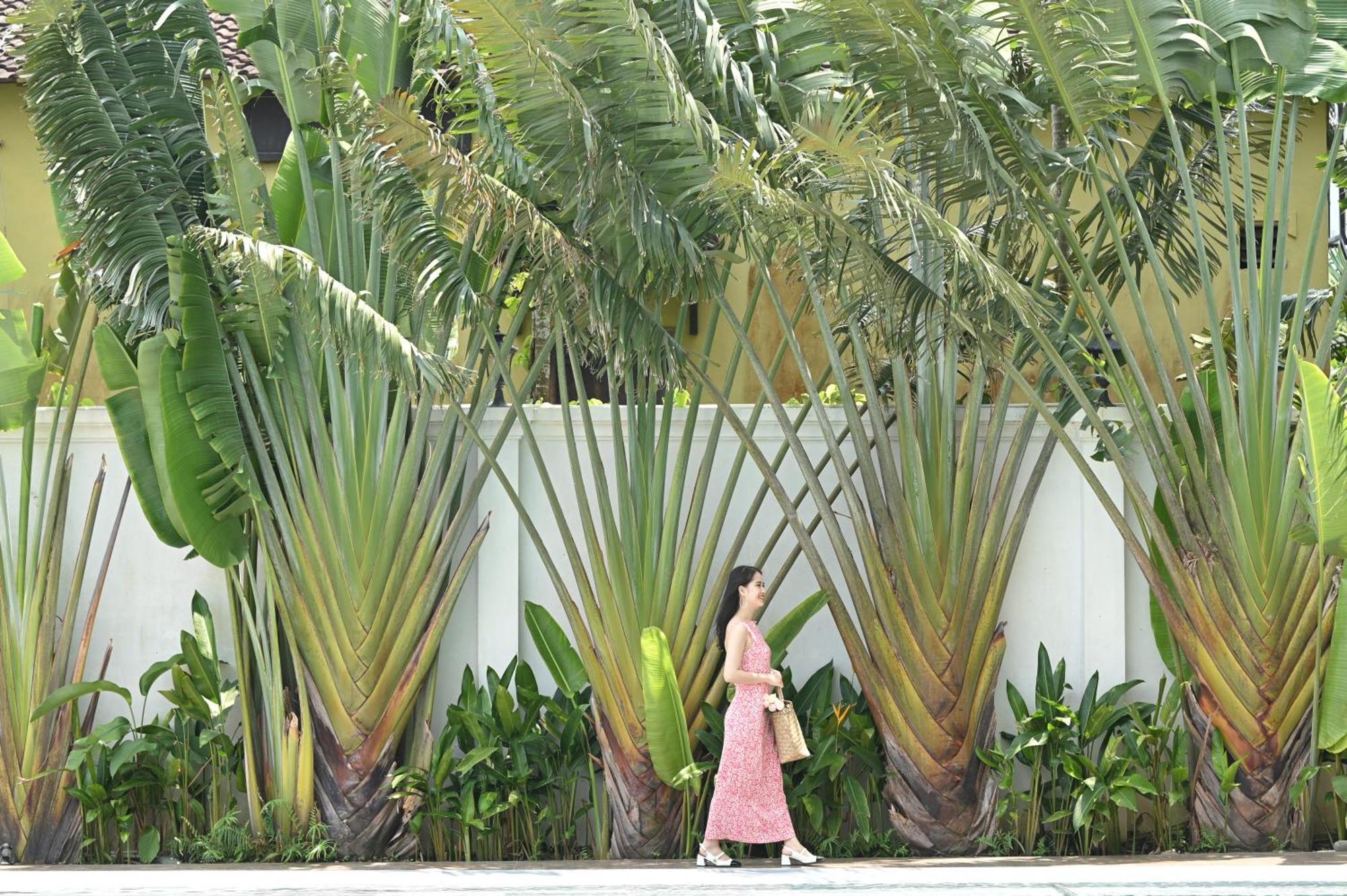Shining Riverside Hoi An Boutique & Spa מראה חיצוני תמונה